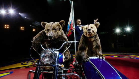 Цирк Филатовых «Дед Мороз в стране Медведей»